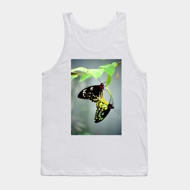 Mating Cairns Birdwings Tank Top by GP1746